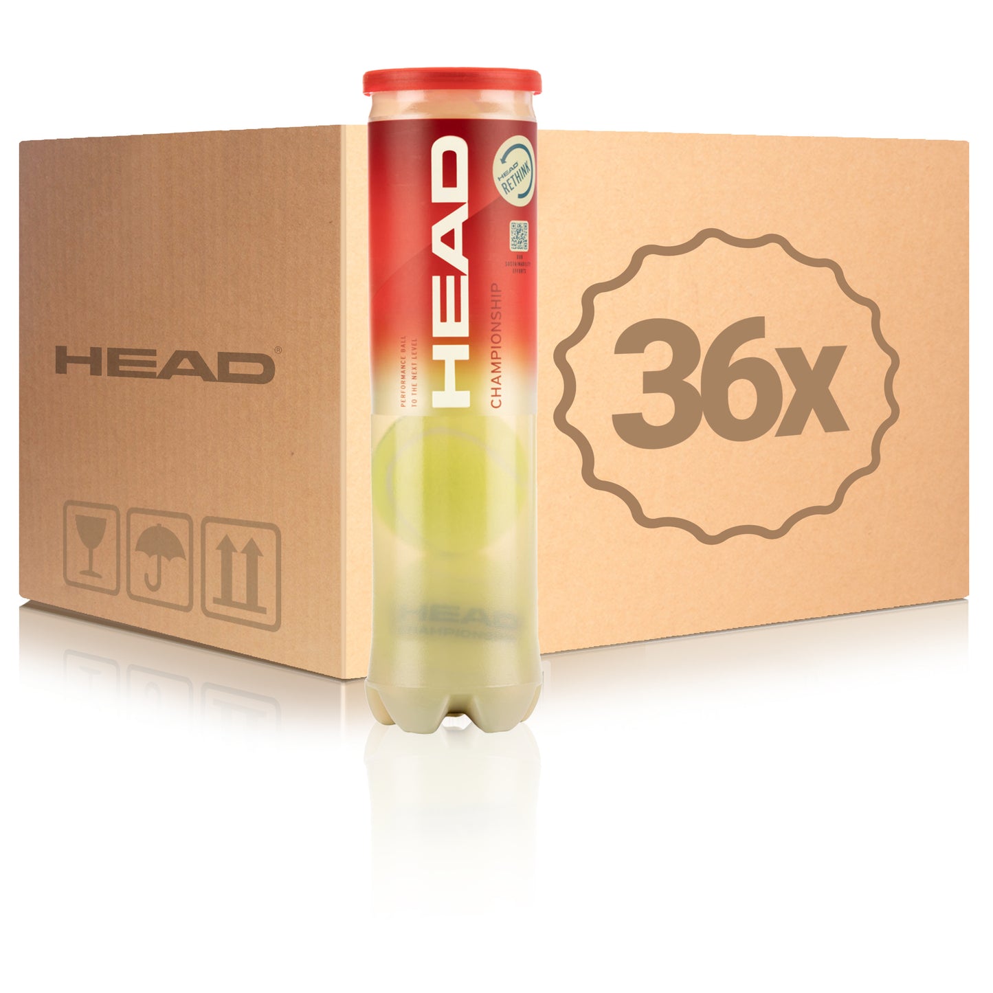 HEAD 36x 4-pack rör Championship I kartong HEAD 36x 4-pack rör Championship I kartong