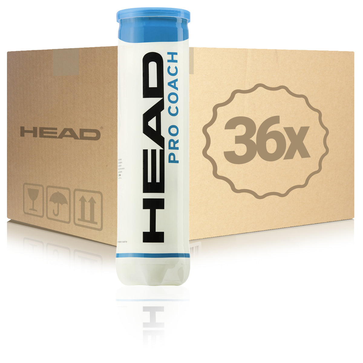 HEAD 36x 4-pack rör Pro Coach I kartong HEAD 36x 4-pack rör Pro Coach I kartong