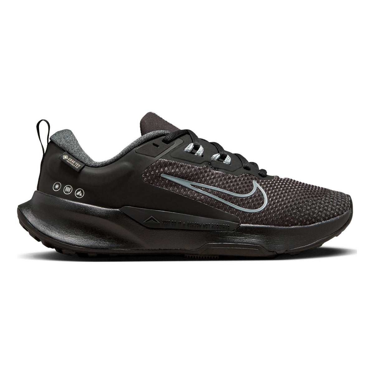 Nike Juniper Trail 2 GORE-TEX Terrängsko Damer - svart, grå