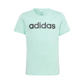 Linear T-shirt Flickor - mint, svart
