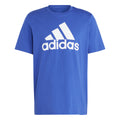 Big Logo Single Jersey T-shirt Herrar - blå, vit