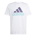 Big Logo Single Jersey T-shirt Herrar - vit,