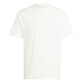 All SZN T-shirt Herrar - vit,