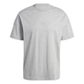 All SZN T-shirt Herrar - grå,