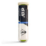 ATP Championship 4-pack rör