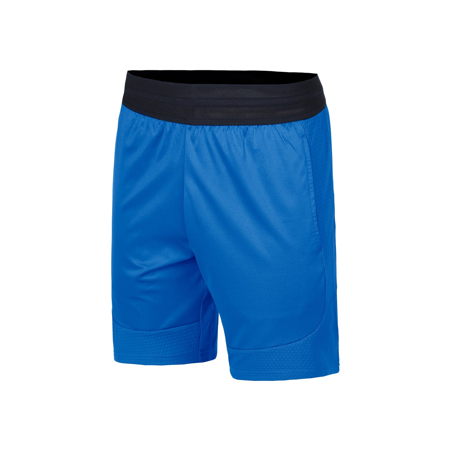 Lacoste Shorts Herrar-Blå