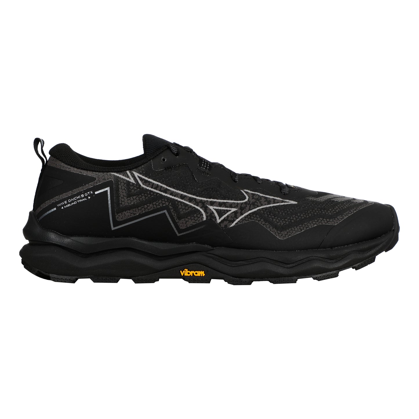 Mizuno Wave Daichi 9 GTX                   Terrängsko Herrar-svart, grå