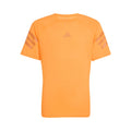 Sport Icons T-shirt Pojkar-orange