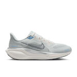 Nike Löparskor Nike Pegasus 41 Neutralsko Damer-Ljusgrå