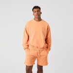 Björn Borg Kläder Björn Borg Borg Oversized Washed Tröja Herrar-Orange