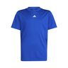 Essentials T-shirt Pojkar - Blå