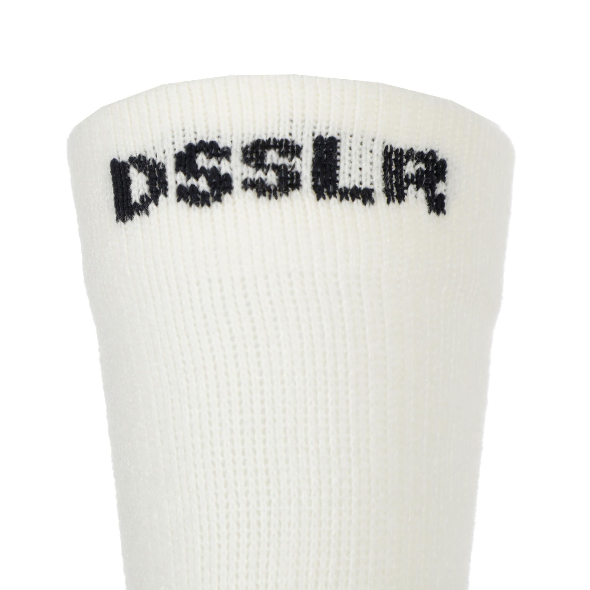 DSSLR