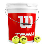 Wilson Tennisbollar Wilson Team W Trainer 72-pack Hink Special Edition