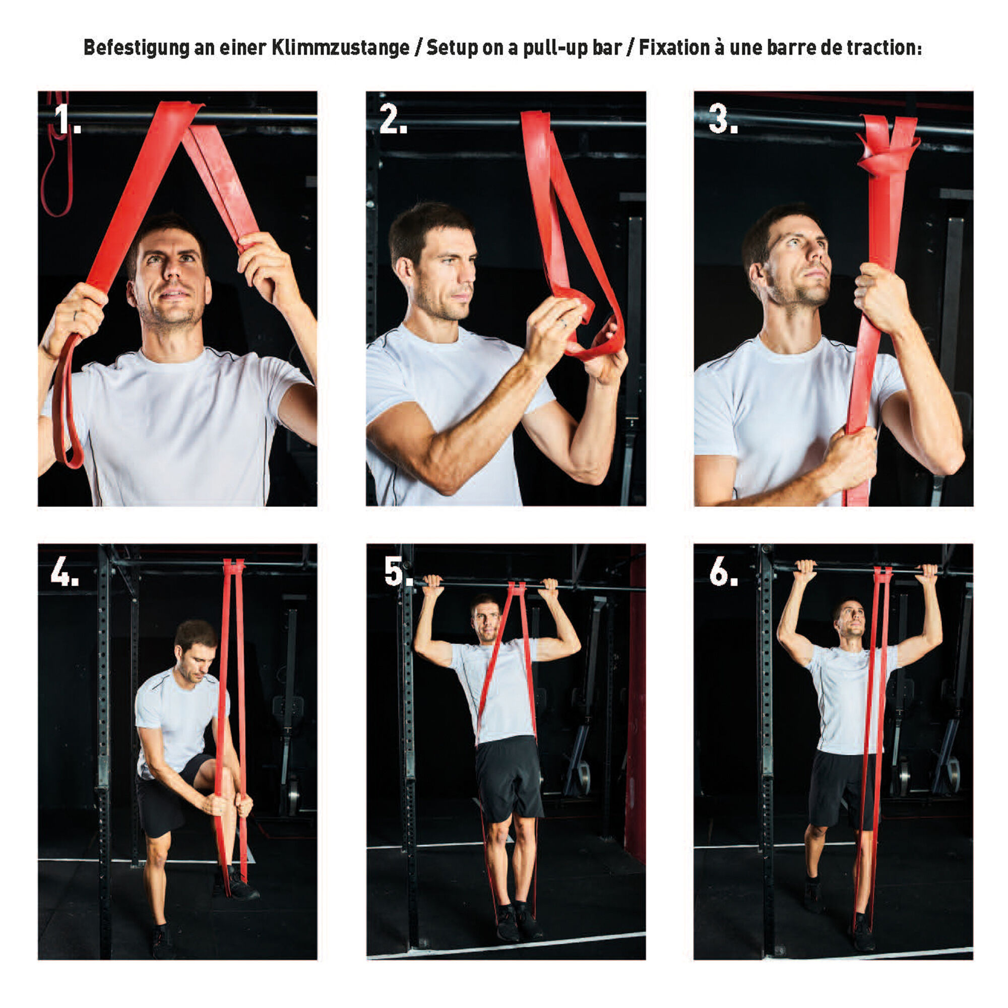 Schildkr&ouml;t Fitness