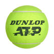 Dunlop