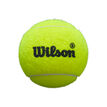 Wilson