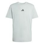 adidas T-shirt adidas Climacool Identitiy Graphic T-shirt Herrar-visdom