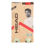 HEAD Tennisbollar HEAD Championship Bi Pack 2x 4-pack rör 