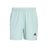 D4T Essentials 7Inch Shorts Herrar-mint