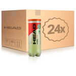 HEAD Padelboll HEAD Padel Team 3-pack Rör