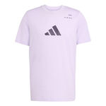 adidas Kl&auml;der adidas Category Graphic T-shirt Herrar-Lila,Svart