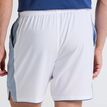 Original Penguin