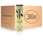 HEAD Trycksatt boll HEAD WTB One 4-pack rör 