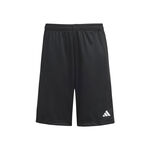 adidas Kläder adidas Training Essentials Shorts Barn - svart, 