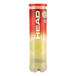 HEAD Tennisbollar HEAD Championship 4-pack Rör