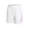 Dri-Fit Graphic Shorts