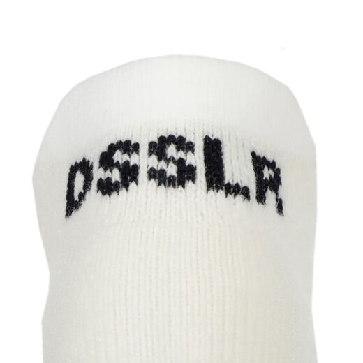 DSSLR