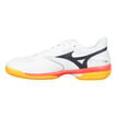 Mizuno