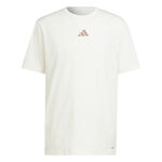 adidas Kläder adidas Designed For Training Intense T-shirt Herrar-Vit