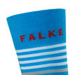 Falke