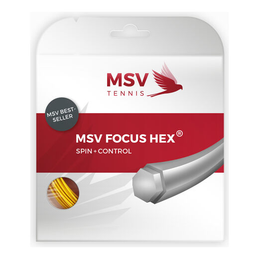 MSV