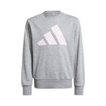 adidas Kläder adidas Essentials Tröja Barn-Grå,Vit