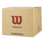 Wilson Tennisbollar Wilson Triniti Club  36-pack Special Edition