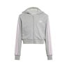 Essentials Crop Sweat-jacka Barn-Grå