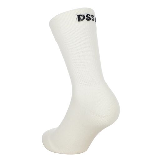 DSSLR