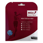 MSV Focus-HEX 12m hellblau