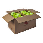 Wilson Tennisbollar Wilson Triniti Club 72-pack Låda