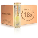 HEAD Trycksatt boll HEAD Tour Swiss Official 4-pack r&ouml;r 